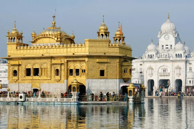 Book Delhi to Amritsar Force Urbania