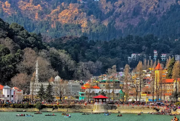 Book Delhi to Nainital Force Urbania