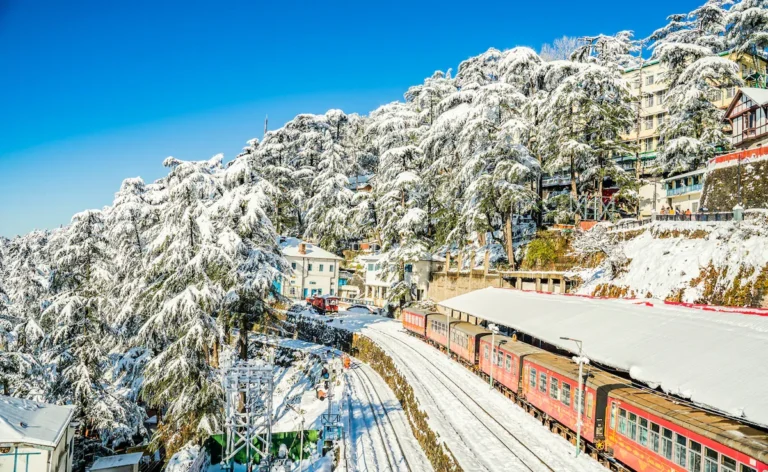 Book Delhi to Shimla Force Urbania