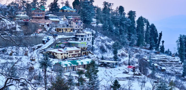 Book Delhi to Shimla Force Urbania