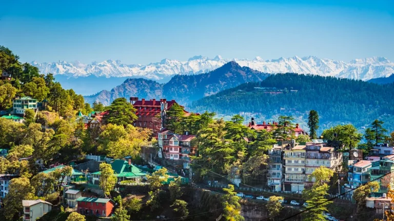 Book Delhi to Shimla Force Urbania