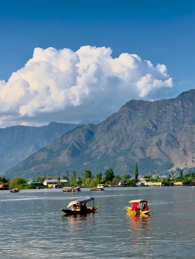 Delhi to Kashmir: An Epic Road Trip to Paradise